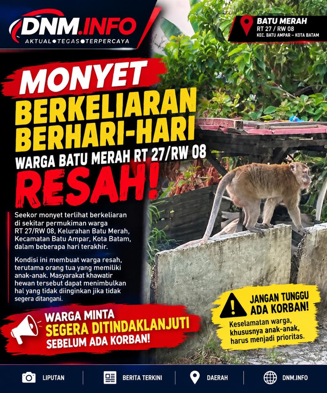 Monyet Berkeliaran Berhari-hari, Warga Batu Merah RT 27/RW 08 Resah: Jangan Tunggu Ada Korban!